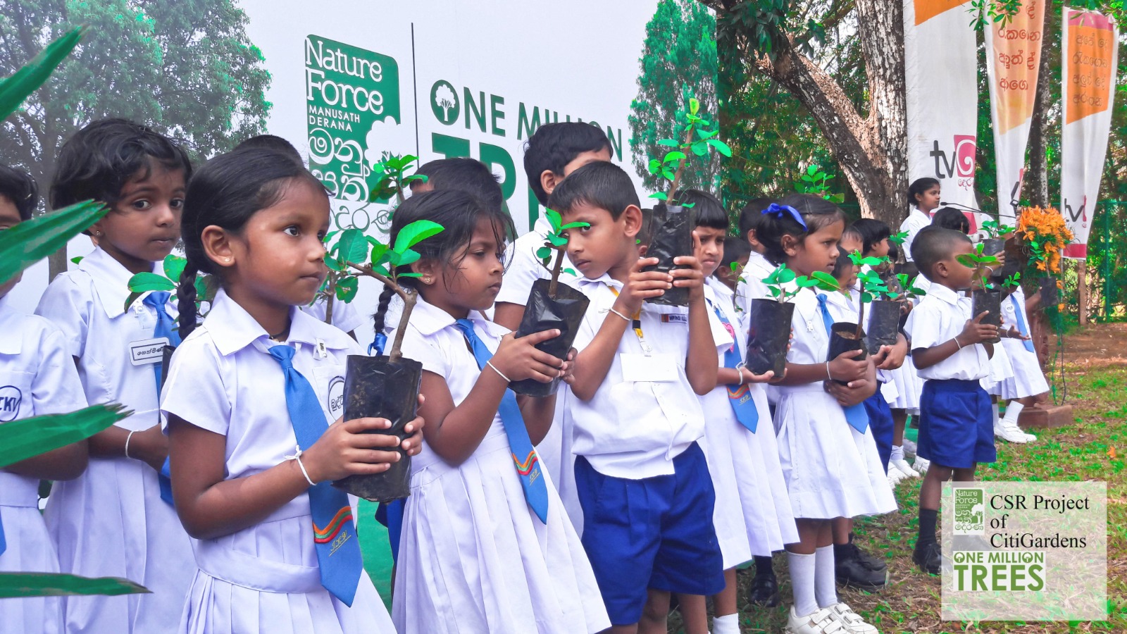 TFMF Community Work - Tree planting initiative